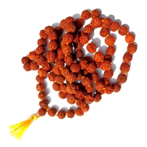 Multicolor Rudraksha Japa Mala 108+1 Beads Original For Mantra Jaap And Puja