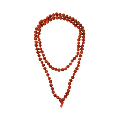 Multicolor Rudraksh Japa Mala 108+1 Beads With Rudraksh Bracelet Combo Pack For Daily Mantra Jaap